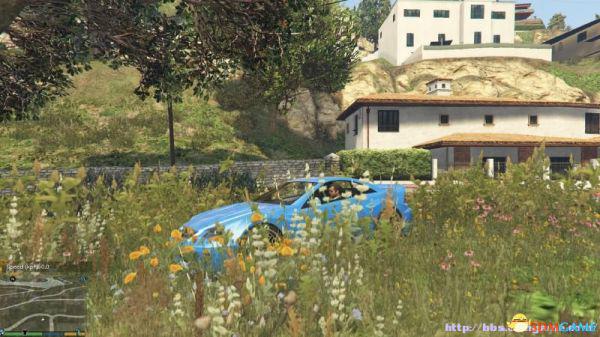 侠盗猎车5GTA5PC版 低配MOD 低分辨率植被贴图MOD