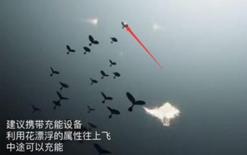 光遇破晓季小金人在哪里 光遇破晓季小金人具体位置介绍