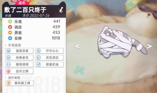 猫之城猫屋怎么孵化血月之殇