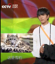 抖音芝士雪豹是什么梗
