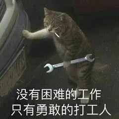 抖音天选打工人是什么梗