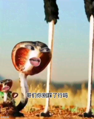 抖音迷因视频是什么梗