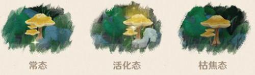 原神3.0三相众物是什么 原神3.0三相众物介绍