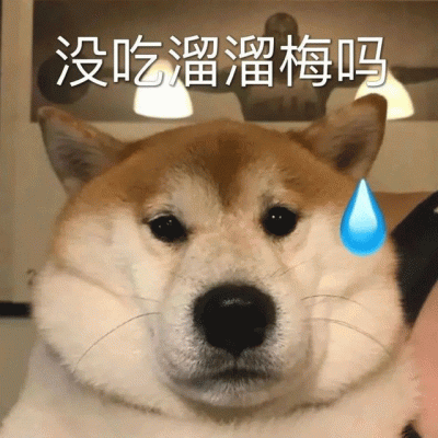 抖音没事就吃66梅别管我啦是什么梗
