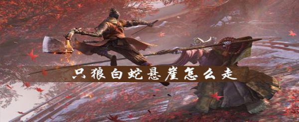 只狼白蛇悬崖怎么过