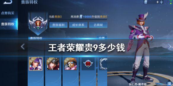 《王者荣耀》贵9多少钱 王者荣耀V9价格介绍