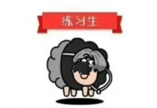 羊了个羊坤坤练习生皮肤怎么获得 羊了个羊坤坤练习生皮肤获得方法介绍