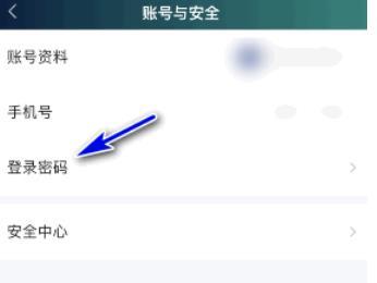 爱奇艺极速版修改密码教程