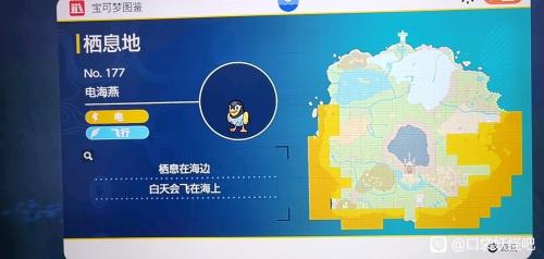 宝可梦朱紫电海燕在哪里 宝可梦朱紫电海燕具体位置介绍