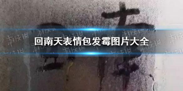 回南天表情包发霉图片有哪些 回南天表情包发霉图片