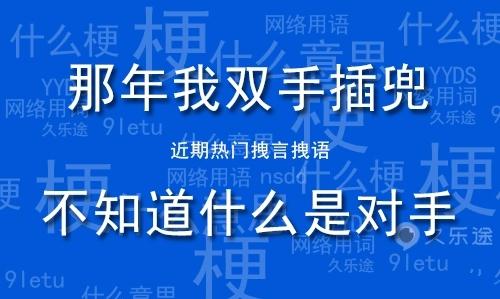 抖音那年我双手插兜不知道什么是对手是什么梗 出处介绍