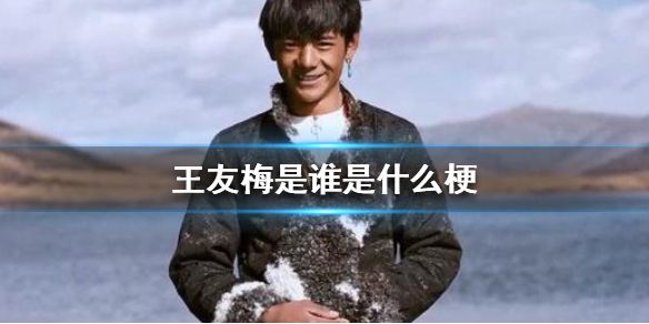 王友梅是谁 抖音王友梅是谁是什么梗