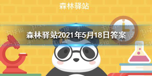 面对残忍的偷猎者，胆小的穿山甲如何自保 森林驿站2021年5月18日答案