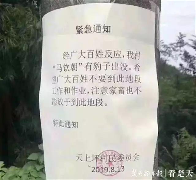 领地人生林中村落攻略(领地人生林中村落怎么获取食物)